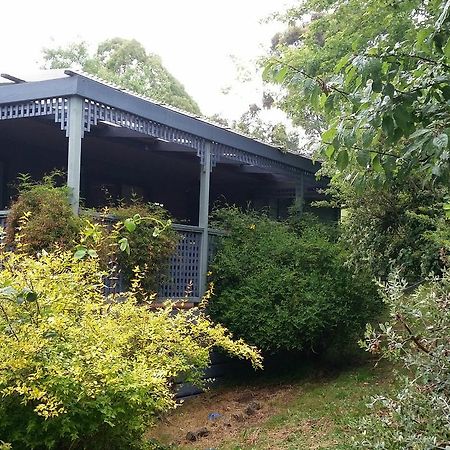 View Mount Villa Sawmill Settlement Exterior photo